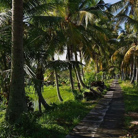 Satori Villas Bali Ubud Kültér fotó