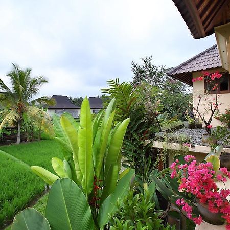 Satori Villas Bali Ubud Kültér fotó