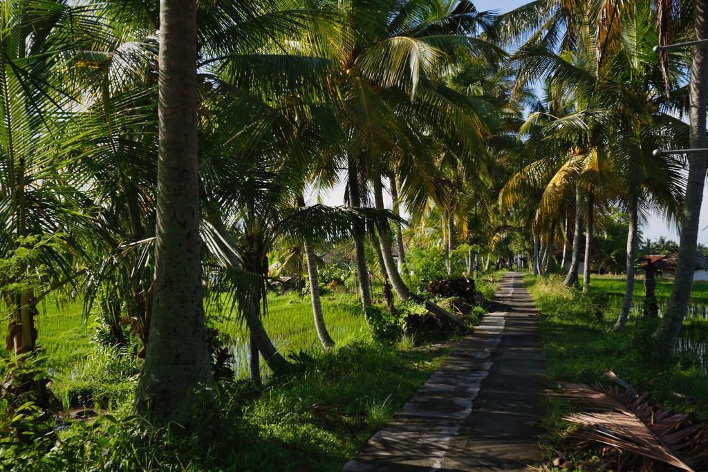 Satori Villas Bali Ubud Kültér fotó