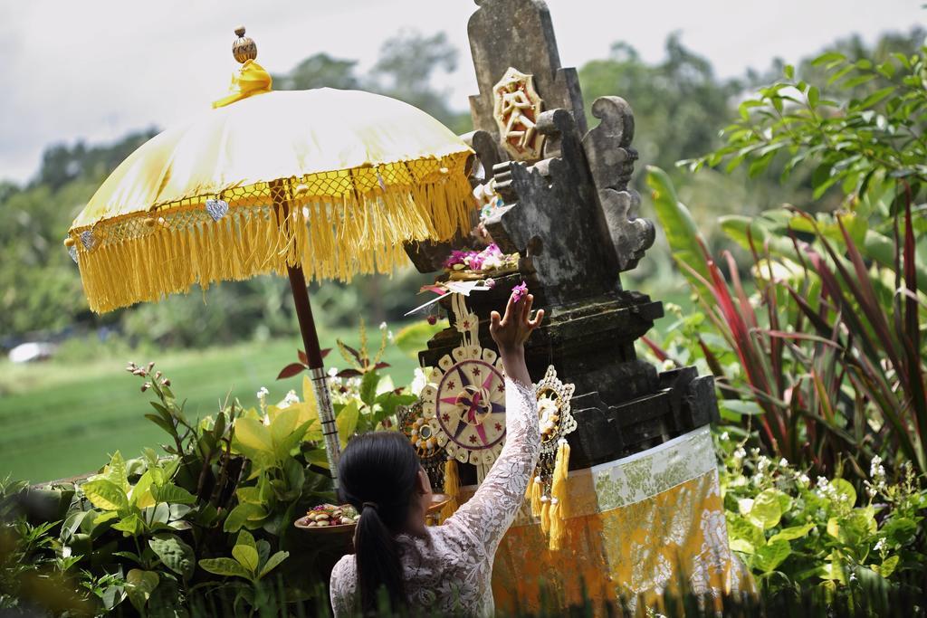 Satori Villas Bali Ubud Kültér fotó