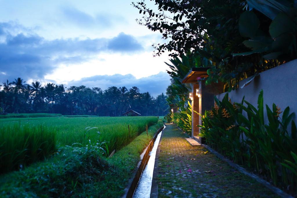 Satori Villas Bali Ubud Kültér fotó