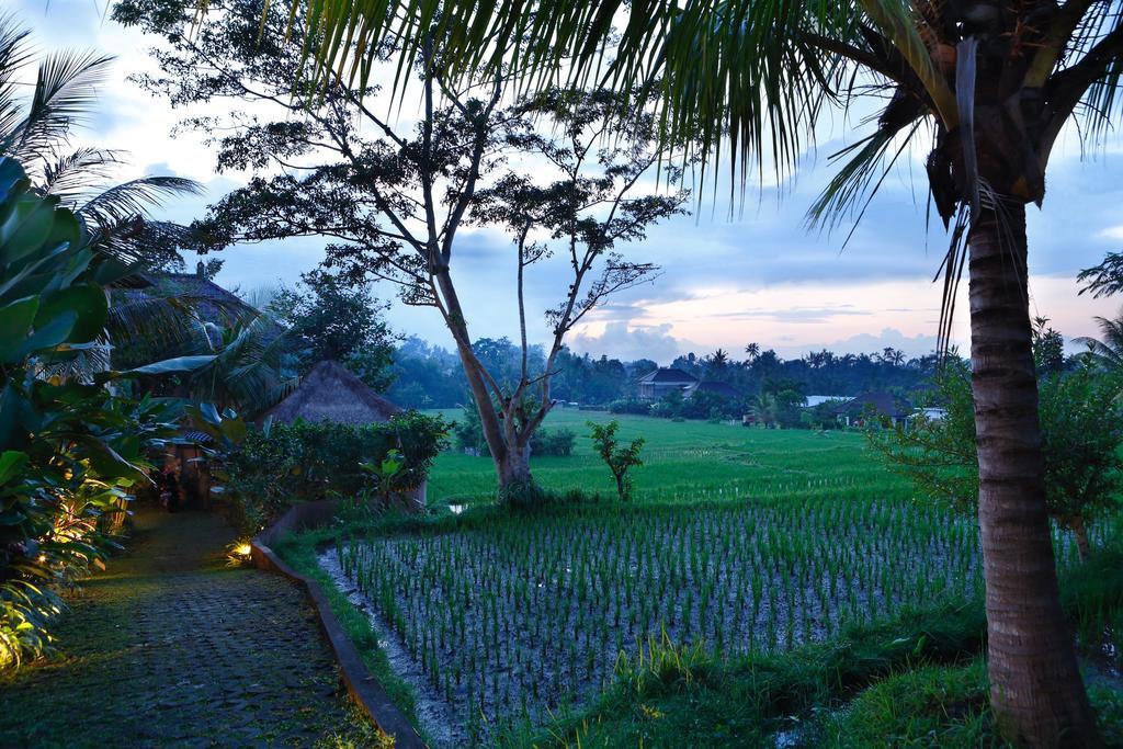 Satori Villas Bali Ubud Kültér fotó