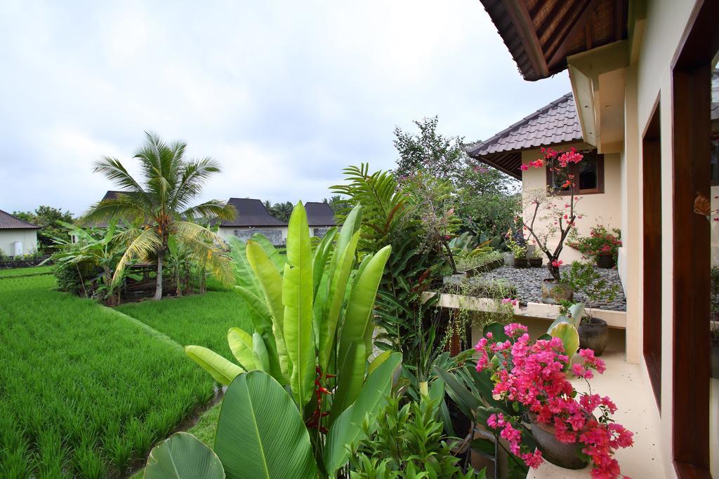 Satori Villas Bali Ubud Kültér fotó