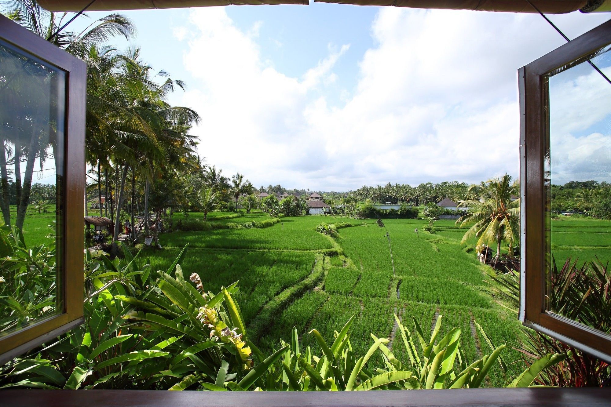 Satori Villas Bali Ubud Kültér fotó