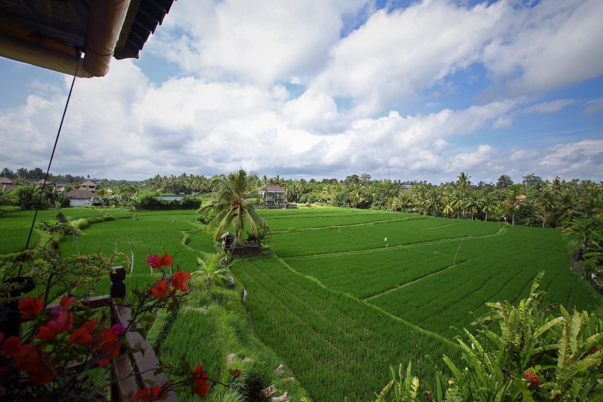 Satori Villas Bali Ubud Kültér fotó